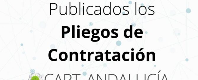 Publicación de Pliegos