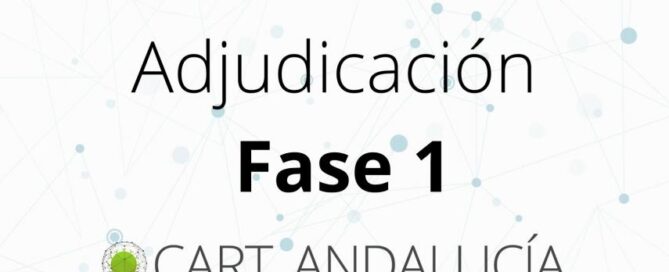 Adjudicacion Fase 1